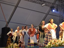 Festival de Folkore en Mula